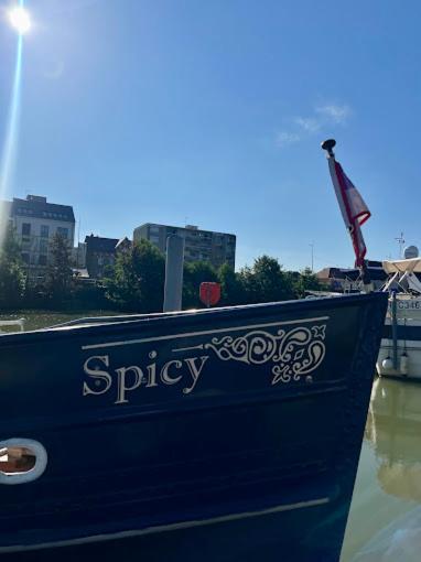 Spicy - Sejour Insolite Sur La Marne Meaux Kültér fotó